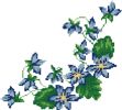 Синие цветочки для салфетки.  7 цв. 110х100 ст. (2,5 кб)  Реконструкция старой схемы (1957 г.) Собовая Т.